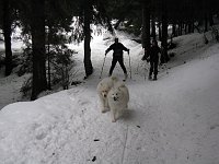 Con le ciaspole dal Passo della Presolana alle Baite Cassinelli e Corzene in Presolana il 4 febbraio 09 - FOTOGALLERY